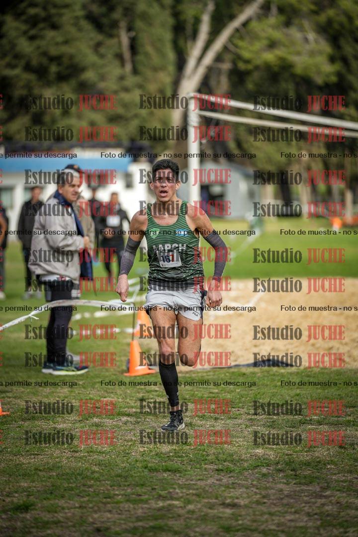Fotos de la llegada del cross de 8000 m