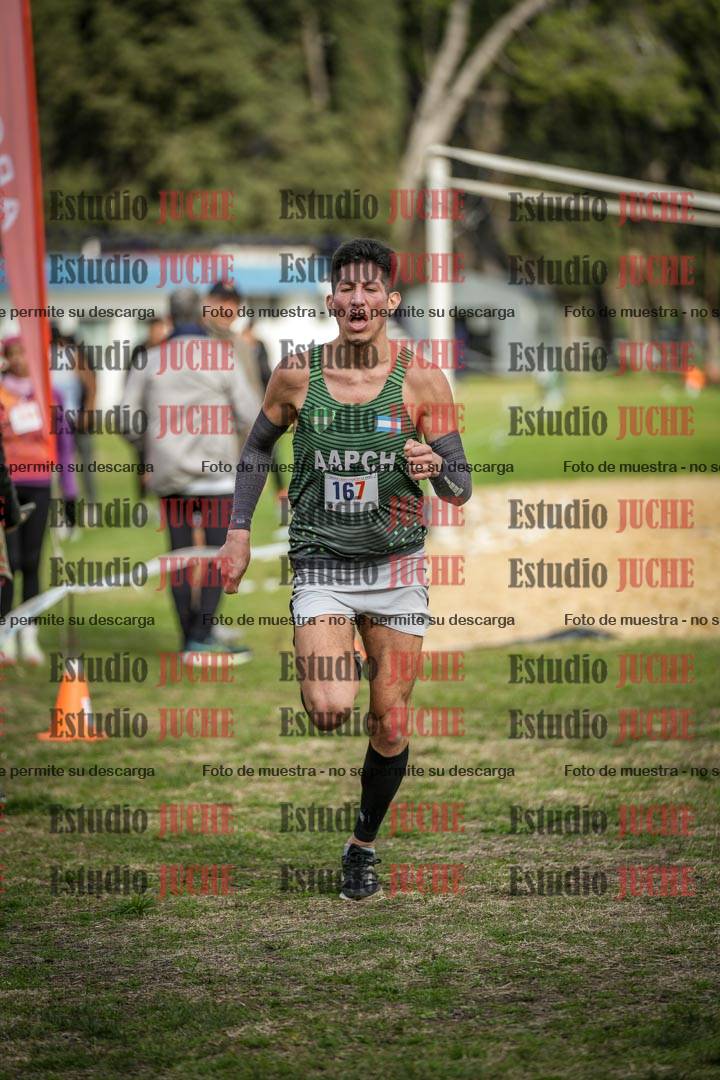 Fotos de la llegada del cross de 8000 m