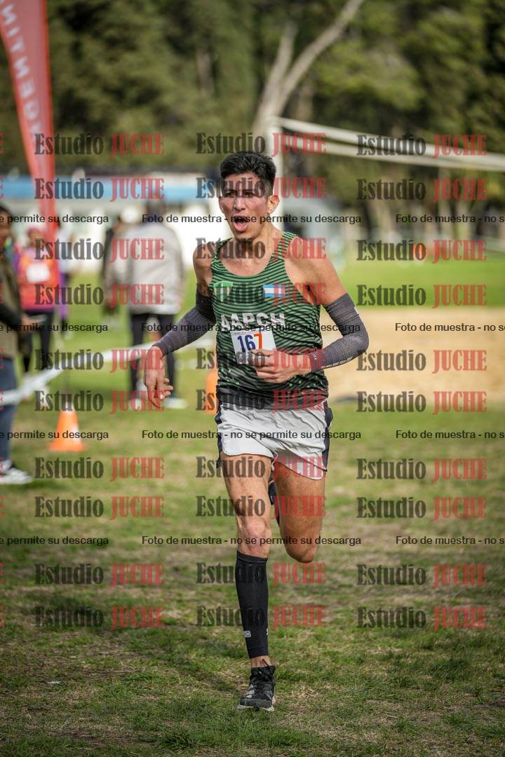 Fotos de la llegada del cross de 8000 m