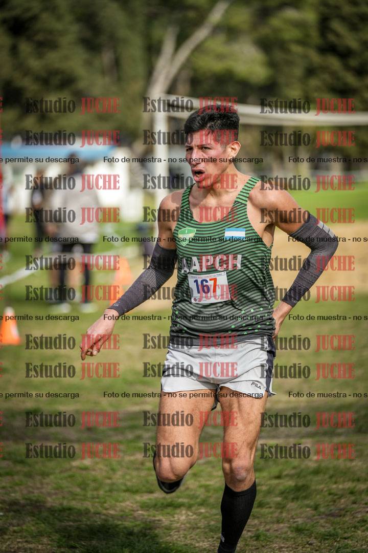 Fotos de la llegada del cross de 8000 m