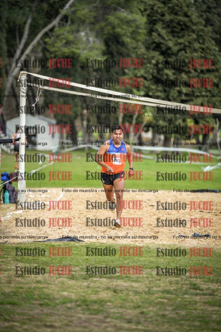 Fotos de la llegada del cross de 8000 m
