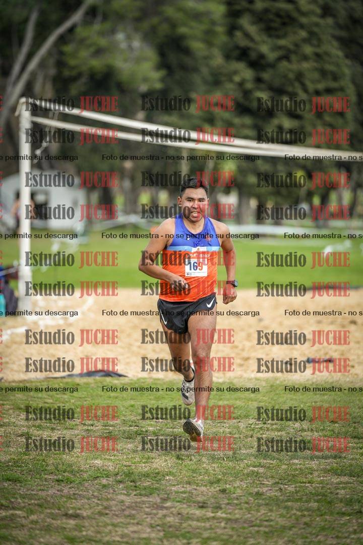 Fotos de la llegada del cross de 8000 m