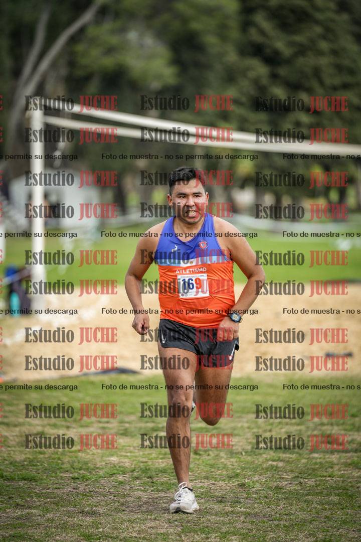 Fotos de la llegada del cross de 8000 m