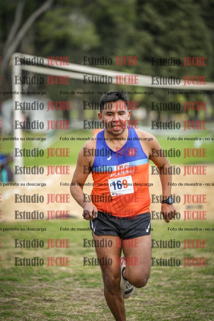 Fotos de la llegada del cross de 8000 m