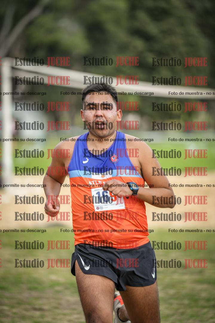 Fotos de la llegada del cross de 8000 m