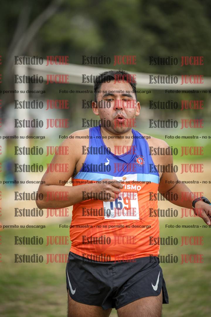 Fotos de la llegada del cross de 8000 m