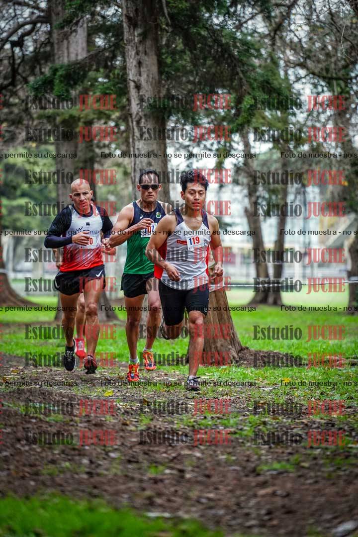 Fotos en el segundo punto del circuito