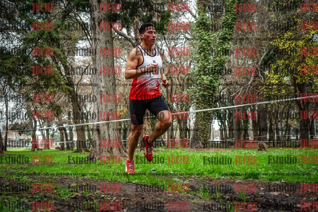 Fotos en el quinto punto del circuito