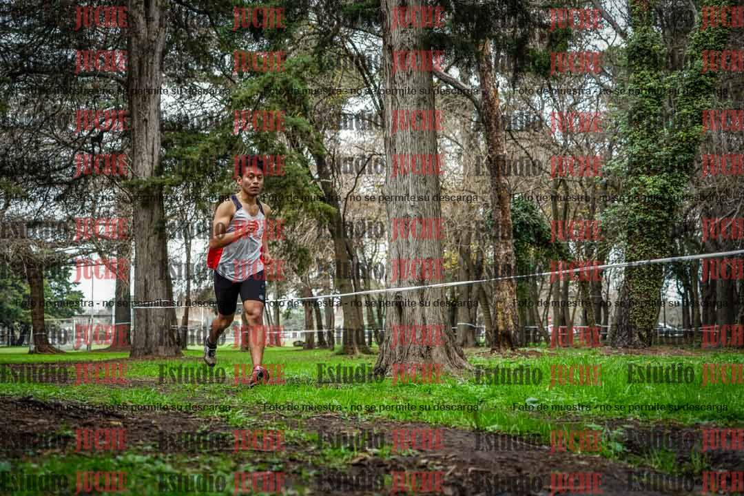 Fotos en el quinto punto del circuito