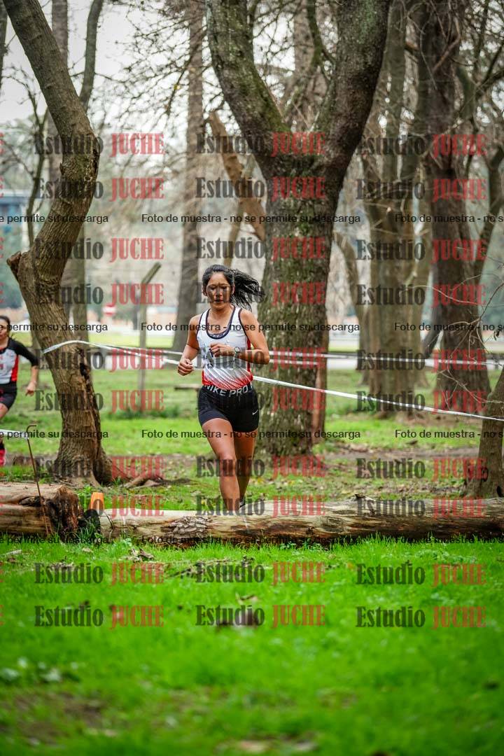 Fotos en el segundo punto del circuito