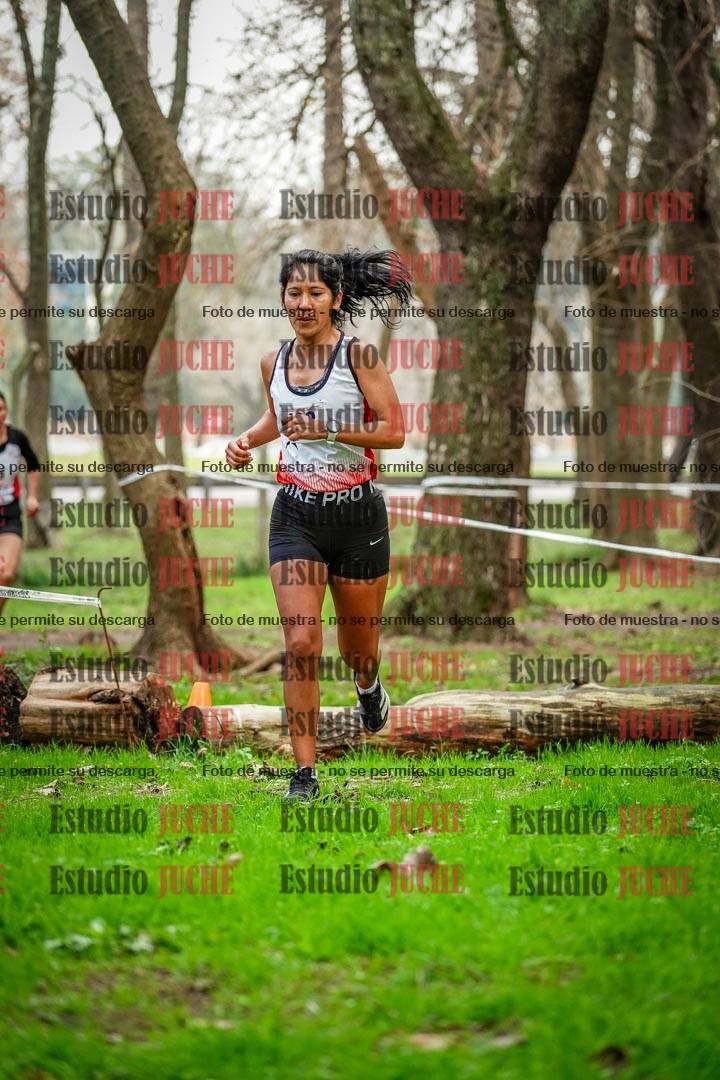 Fotos en el segundo punto del circuito