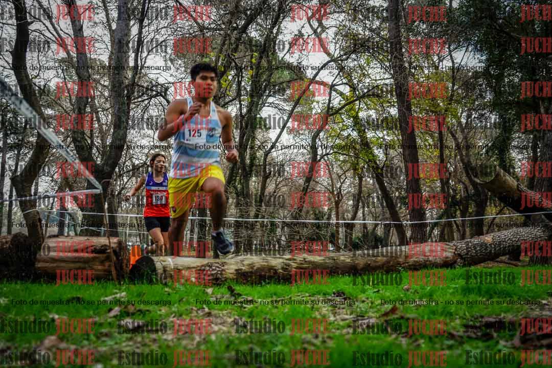 Fotos en el quinto punto del circuito