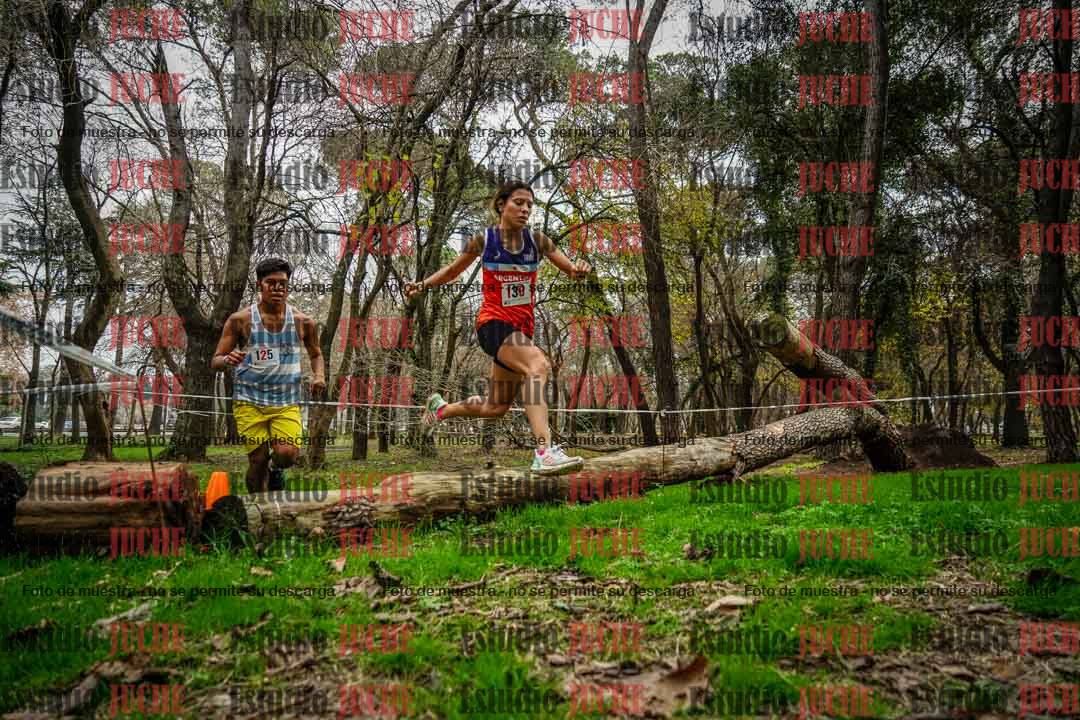 Fotos en el quinto punto del circuito