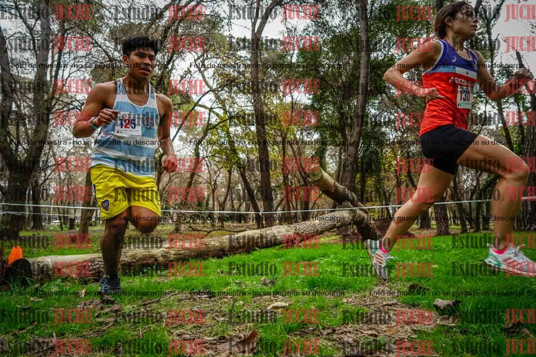 Fotos en el quinto punto del circuito