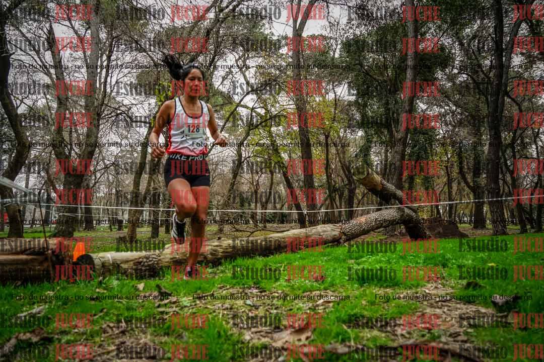 Fotos en el quinto punto del circuito