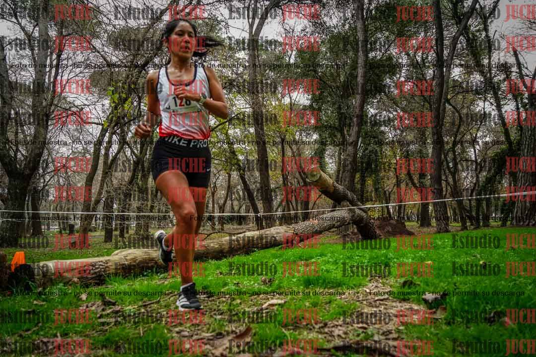 Fotos en el quinto punto del circuito
