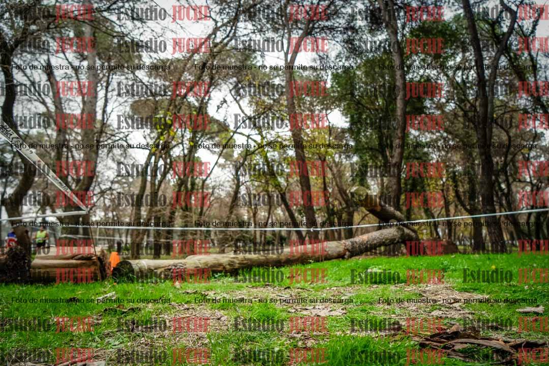 Fotos en el quinto punto del circuito