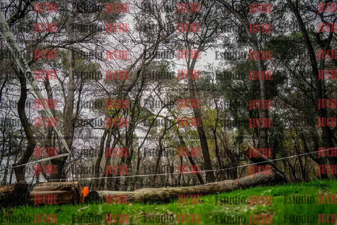 Fotos en el quinto punto del circuito