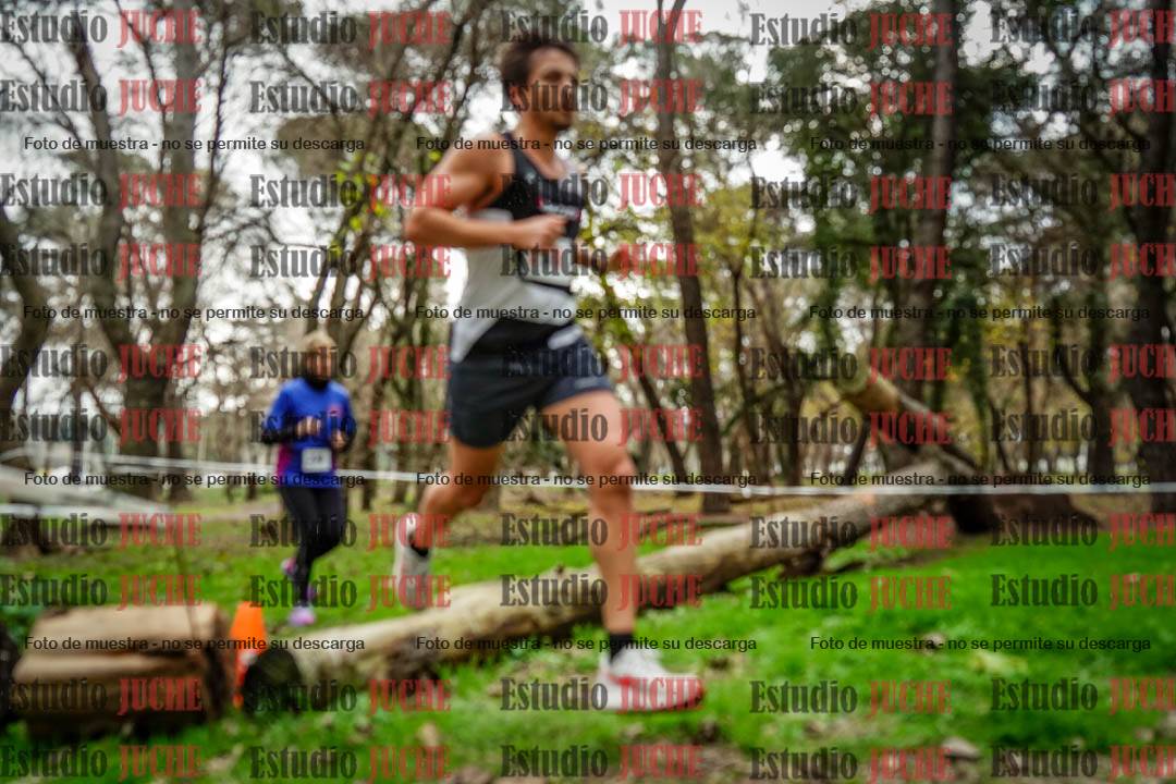 Fotos en el quinto punto del circuito