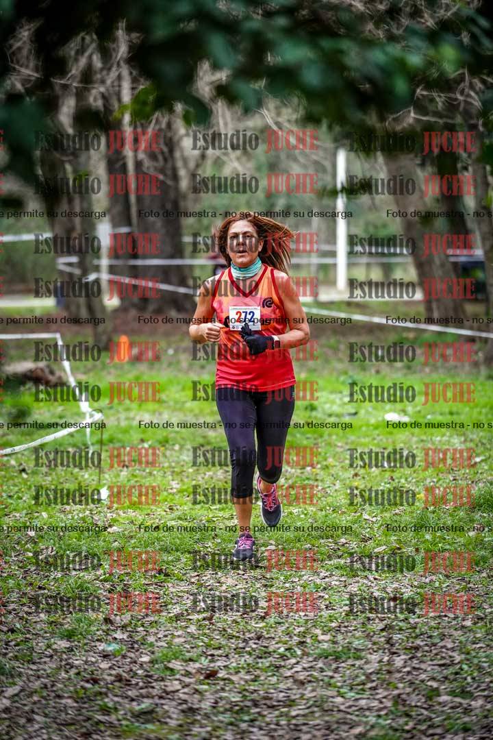 Fotos en el sexto punto del circuito