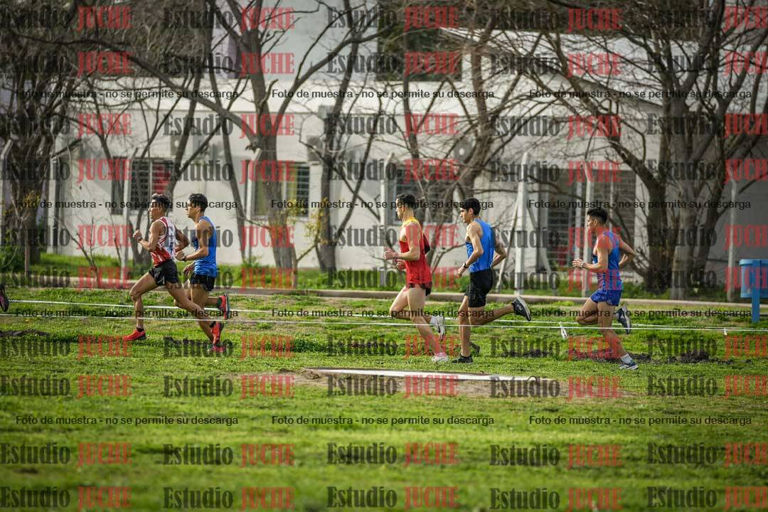 Fotos en de la largada