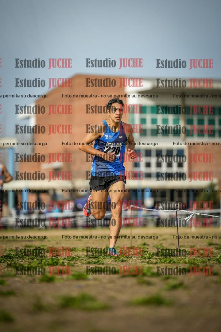 Fotos en el quinto punto del circuito