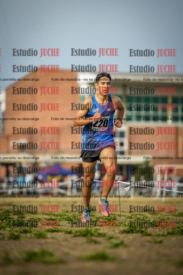 Fotos en el quinto punto del circuito
