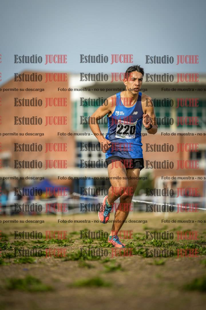 Fotos en el quinto punto del circuito