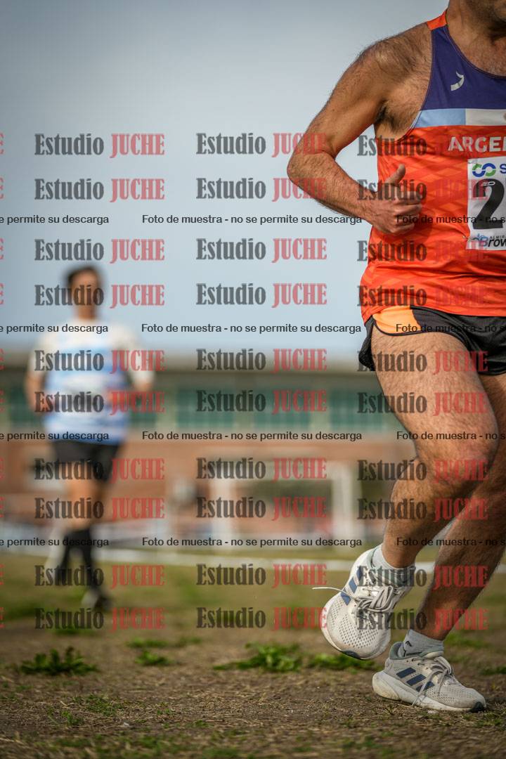 Fotos en el quinto punto del circuito
