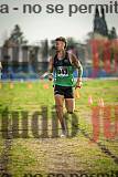 Fotos de la llegada del cross de 4000 m - varones