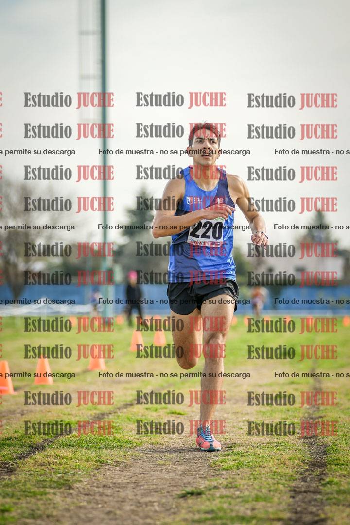 Fotos de la llegada del cross de 4000 m - varones