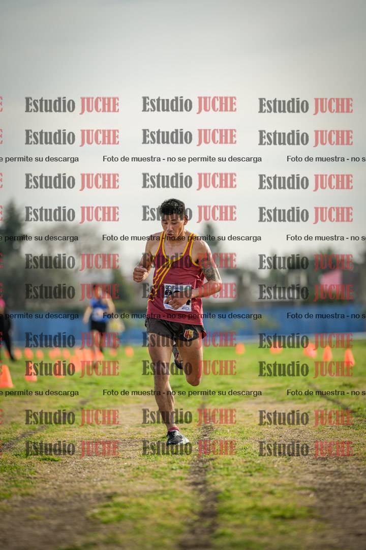 Fotos de la llegada del cross de 4000 m - varones