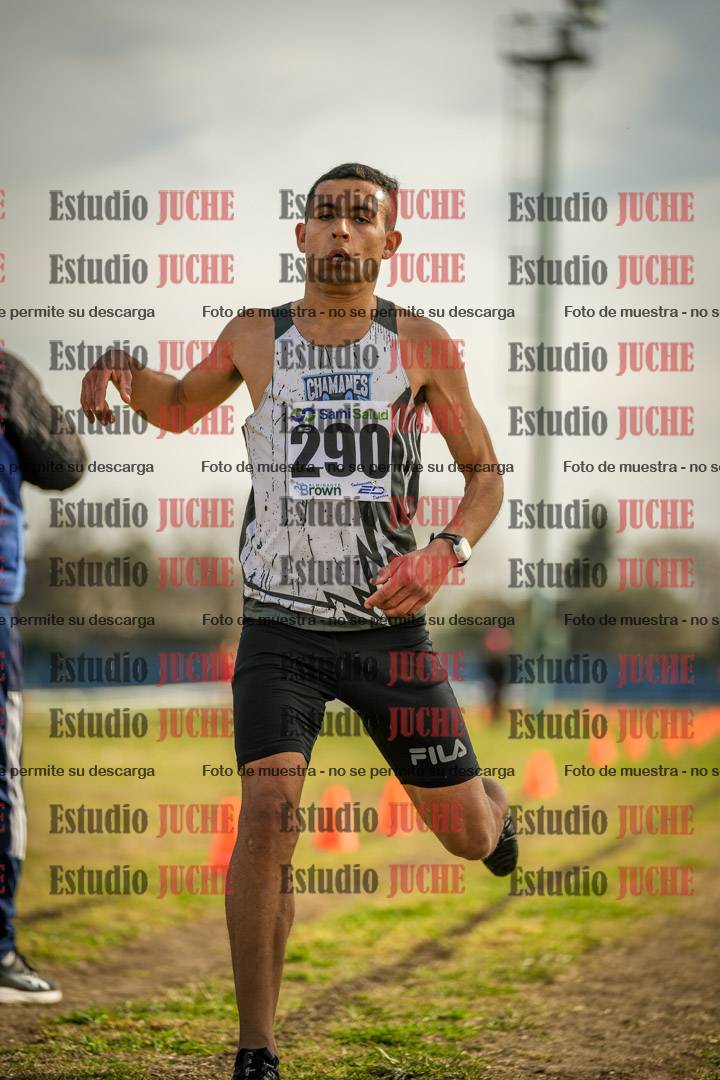 Fotos de la llegada del cross de 4000 m - varones