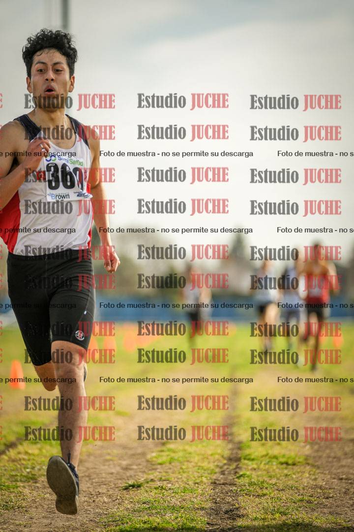 Fotos de la llegada del cross de 4000 m - varones