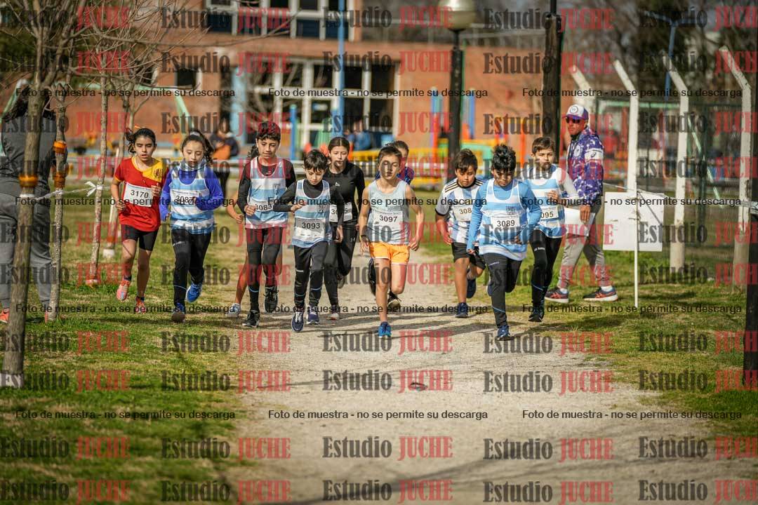 Fotos en de la largada