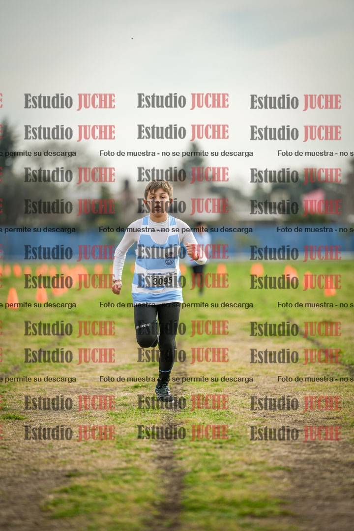 Fotos de la llegada del cross de 1000 m