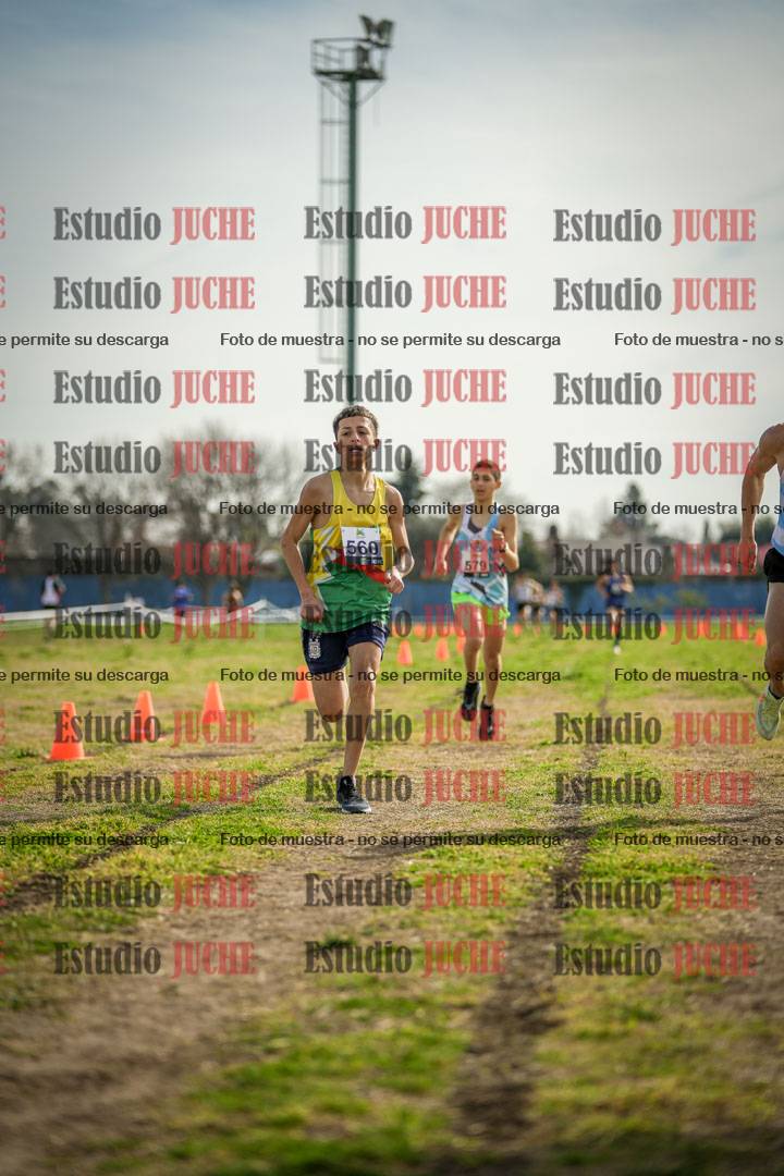 Fotos de la llegada del cross de 1500 m