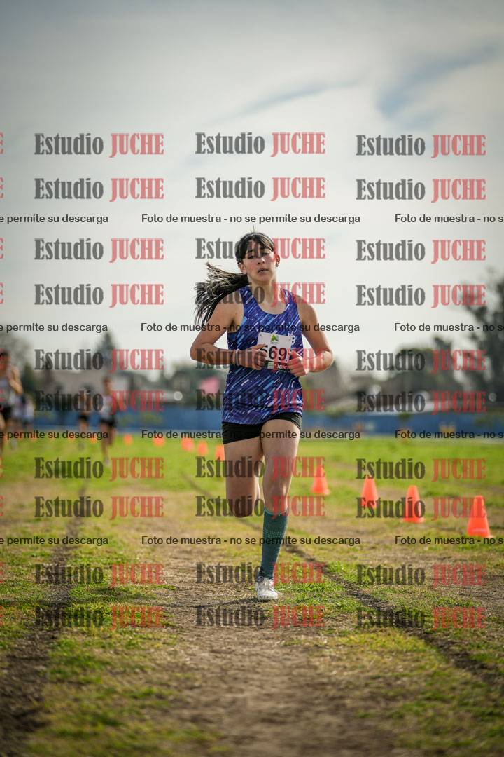 Fotos de la llegada del cross de 1500 m