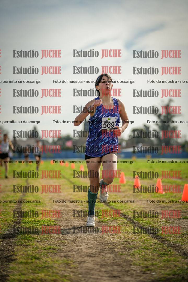 Fotos de la llegada del cross de 1500 m