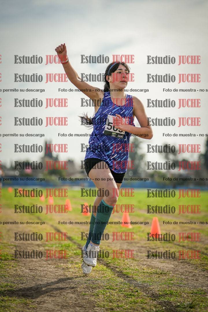 Fotos de la llegada del cross de 1500 m
