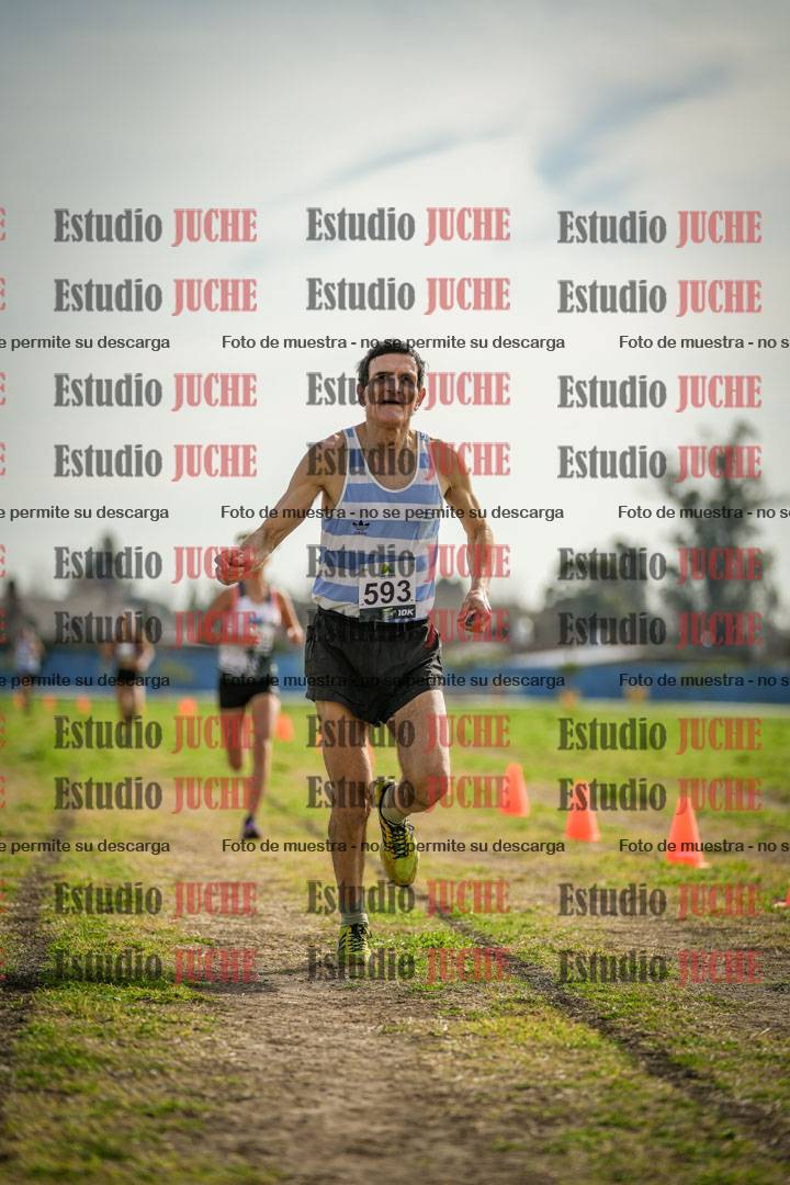 Fotos de la llegada del cross de 1500 m