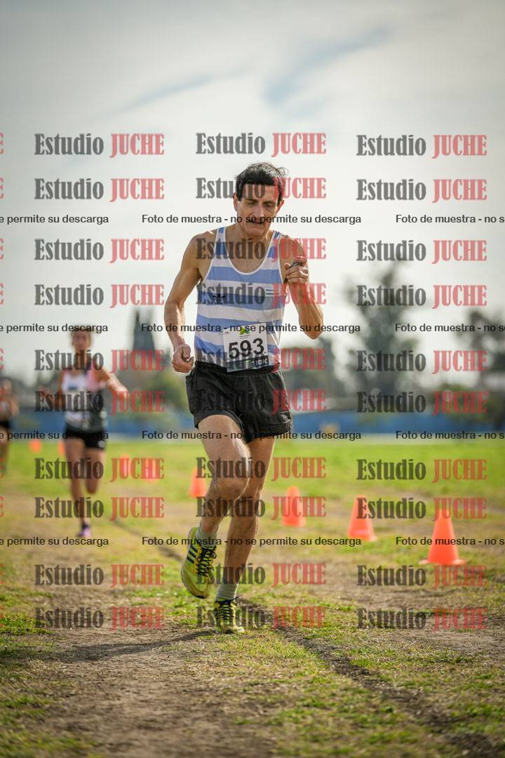 Fotos de la llegada del cross de 1500 m