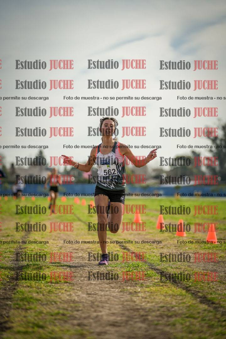 Fotos de la llegada del cross de 1500 m