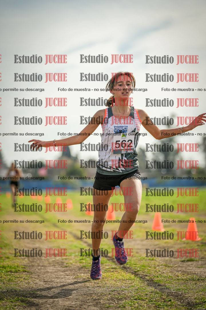 Fotos de la llegada del cross de 1500 m
