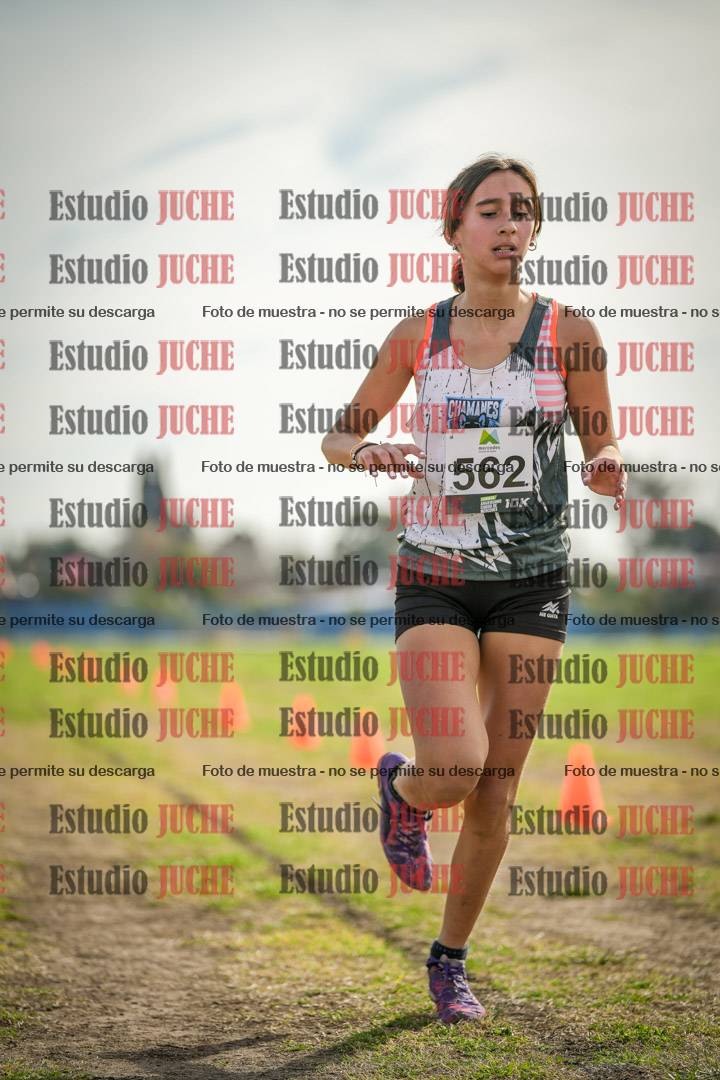 Fotos de la llegada del cross de 1500 m