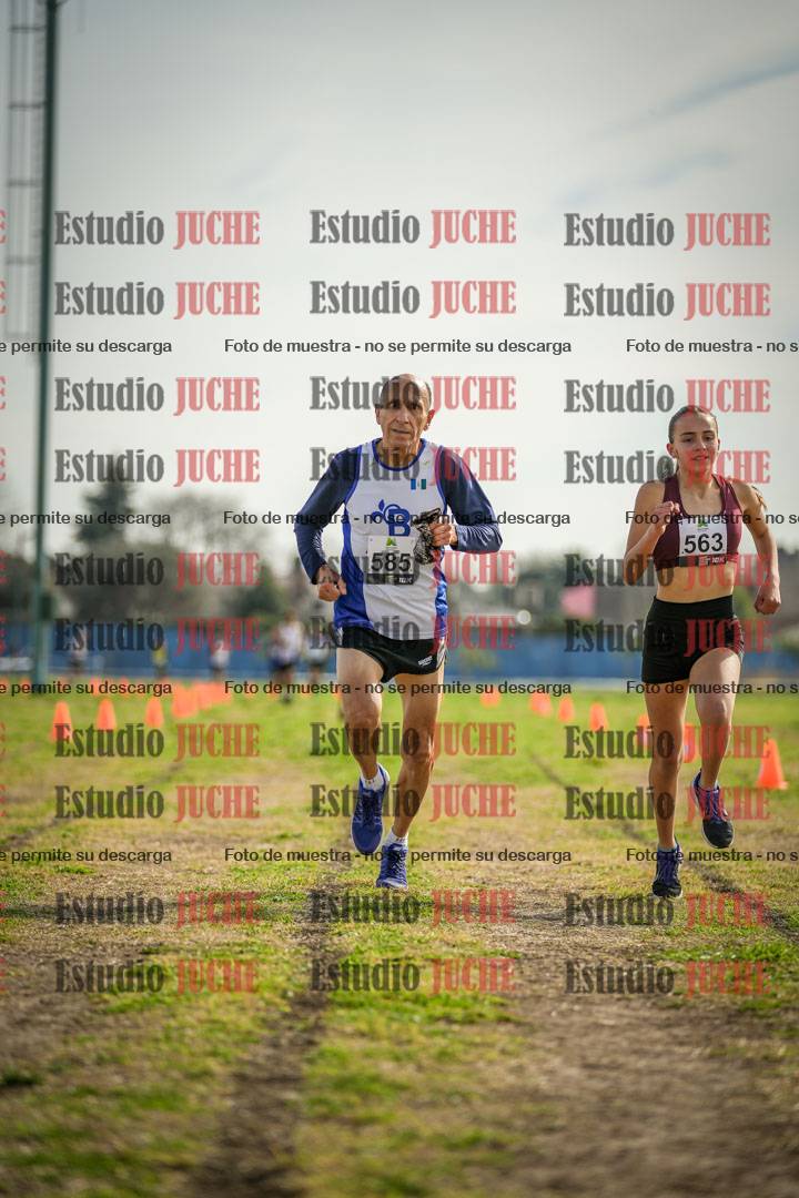 Fotos de la llegada del cross de 1500 m