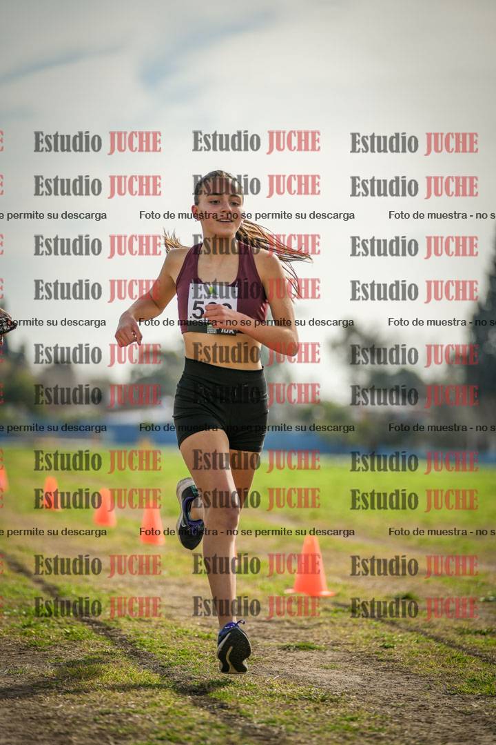 Fotos de la llegada del cross de 1500 m