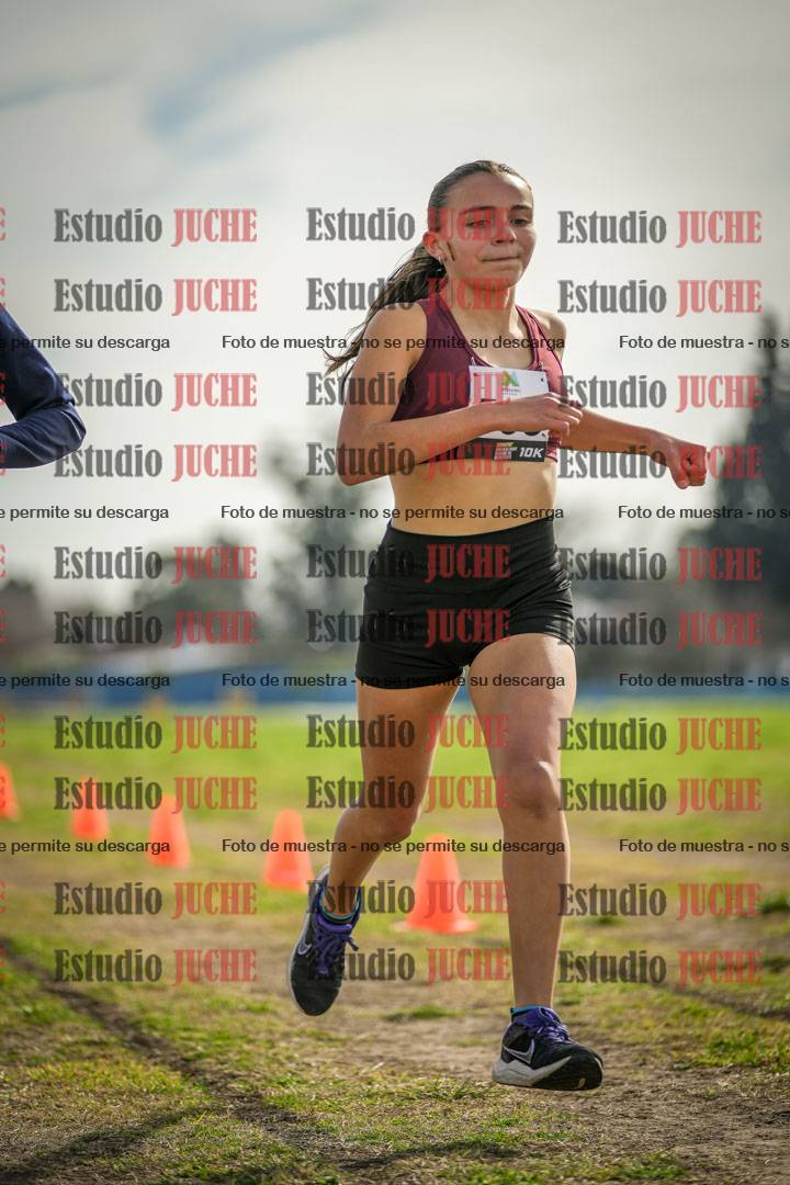 Fotos de la llegada del cross de 1500 m