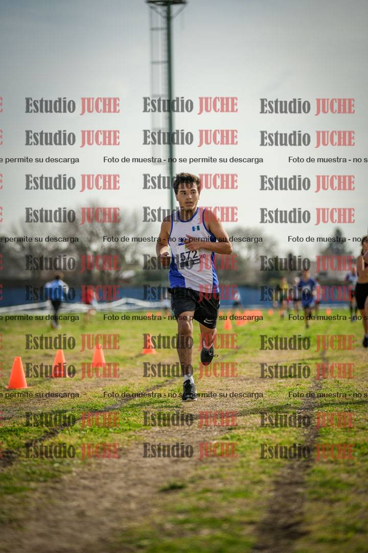 Fotos de la llegada del cross de 1500 m