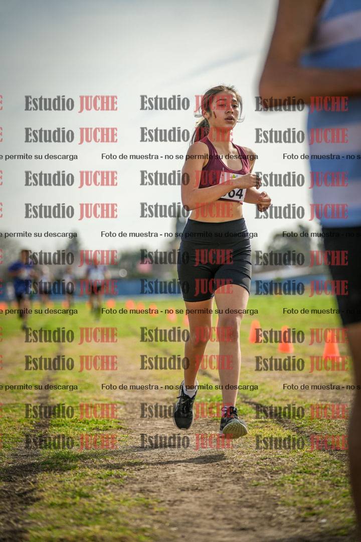 Fotos de la llegada del cross de 1500 m